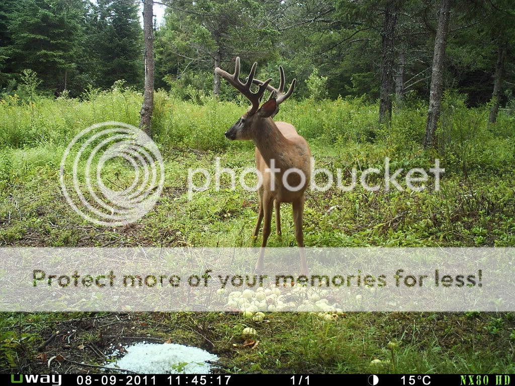 August82011403.jpg