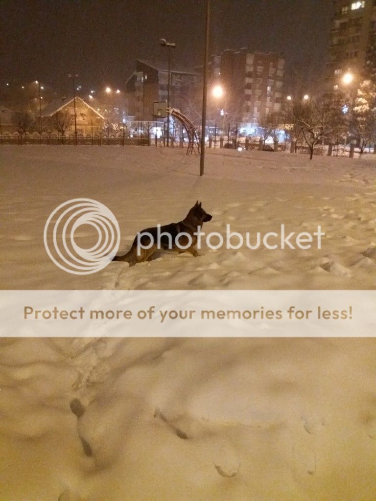 0-02-05-d39a515442921cd3775fd608421824c8