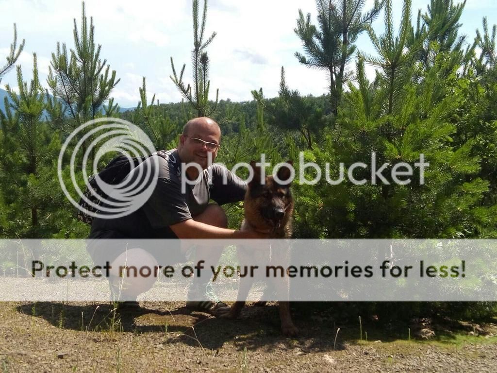 0.02.01.2ec32479ccaed5223c2f09e1fc5d7467b54b778b17174bda934f6b0fd5c58626_full_zpsy1btufze.jpg?t=1465665117