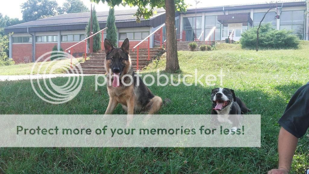 10.8.2015-4_zpsje9sjyuk.jpg?t=1440416780