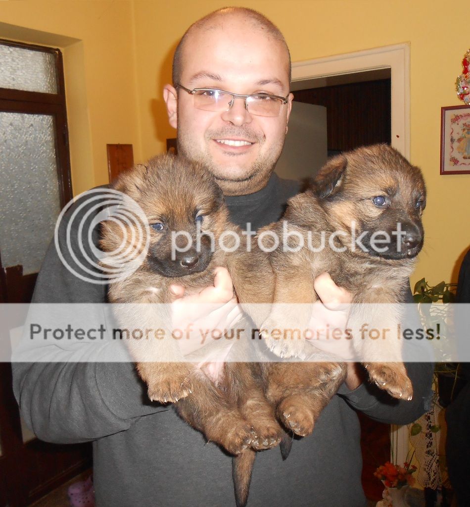 DSCN0489_zpsopwyuhtx.jpg?t=1454078153