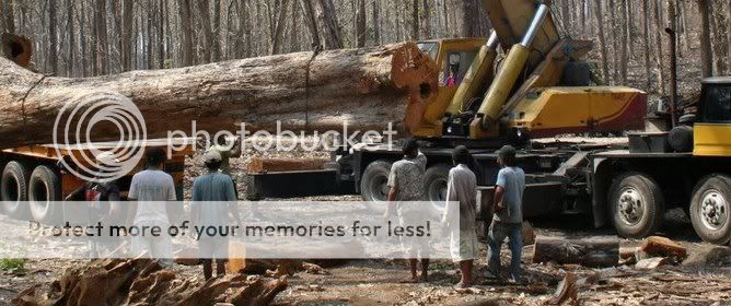 http://i872.photobucket.com/albums/ab283/dietstory/Jati1M-1.jpg