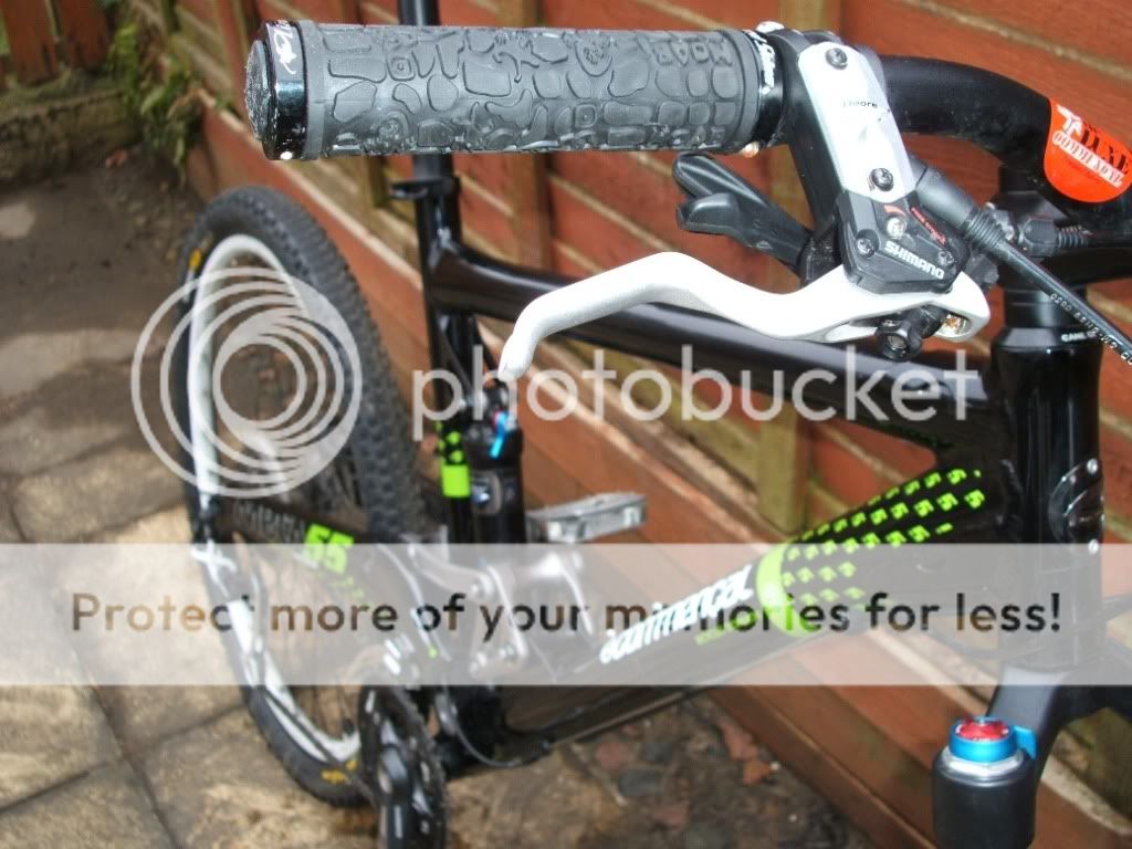 commencal11.jpg