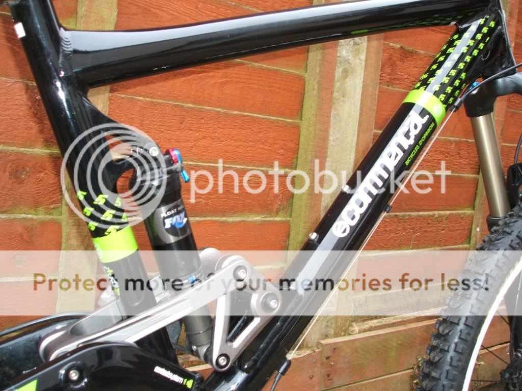 commencal7.jpg