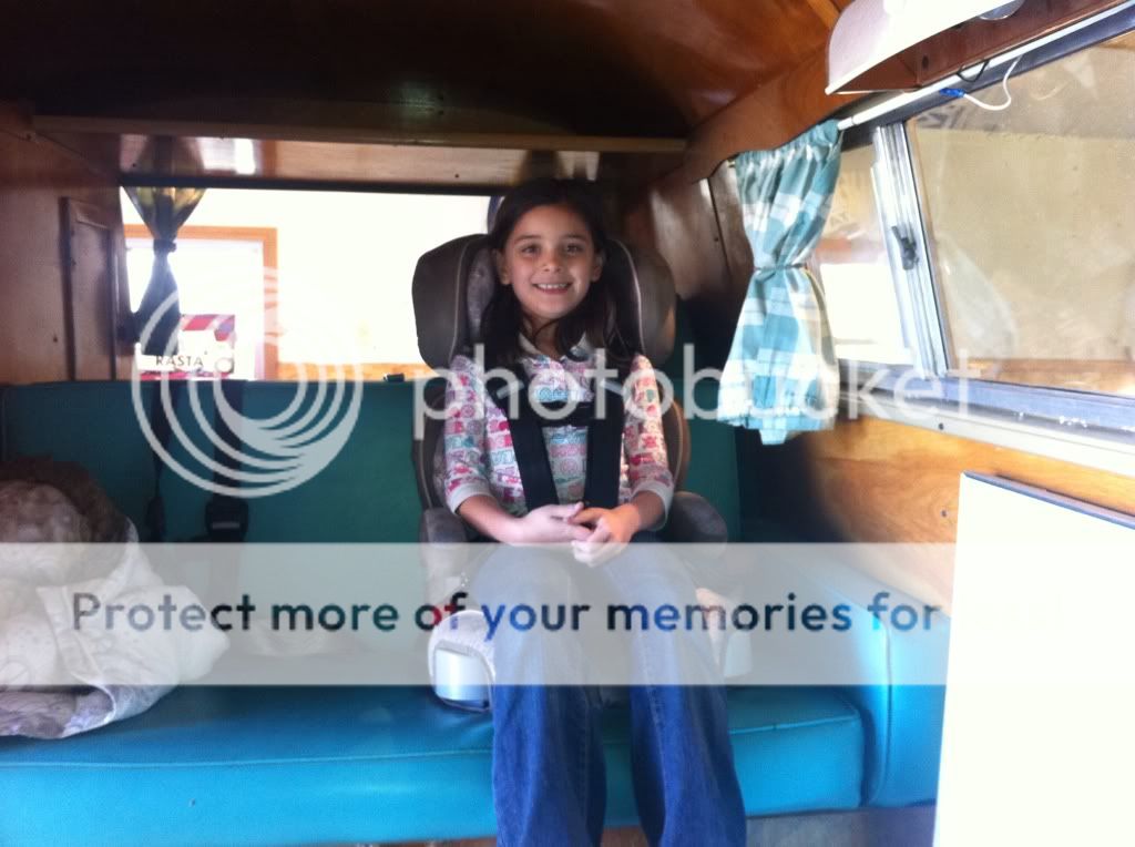 Adult+Bus+Harness Image may have been reduced in size. Click image to view fullscreen.