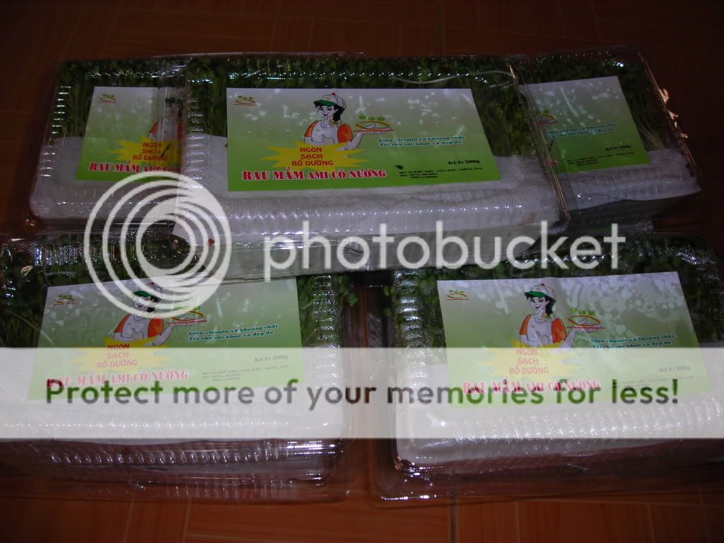 DSCN1681.jpg DSCN1681.jpg