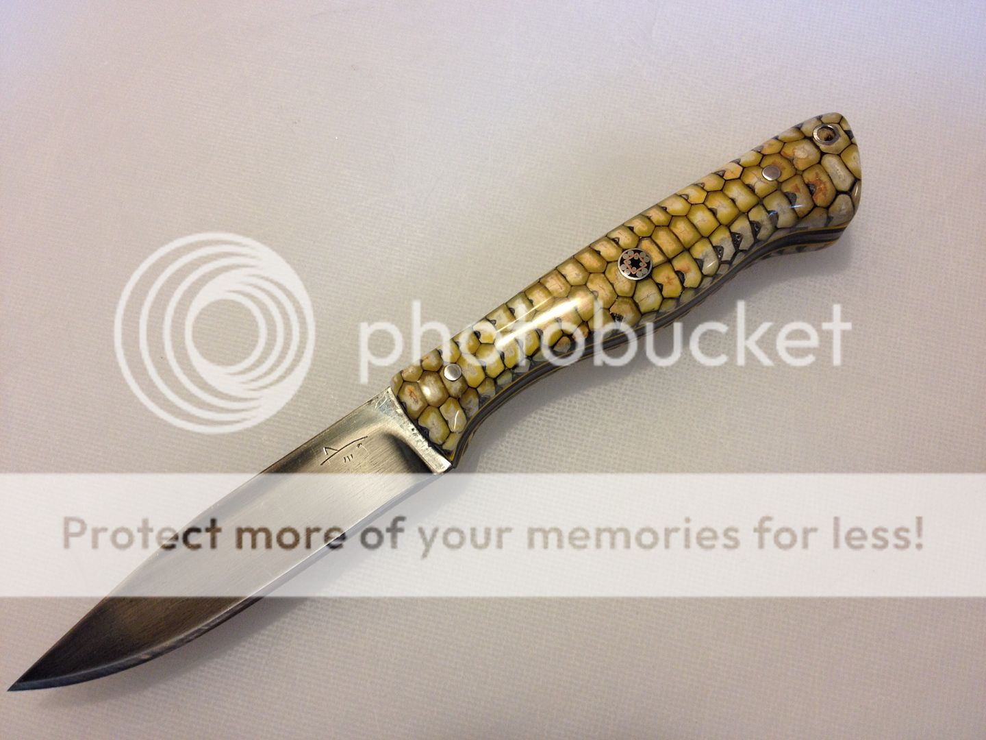 Bird and Trout with polished Corn Cob Scales