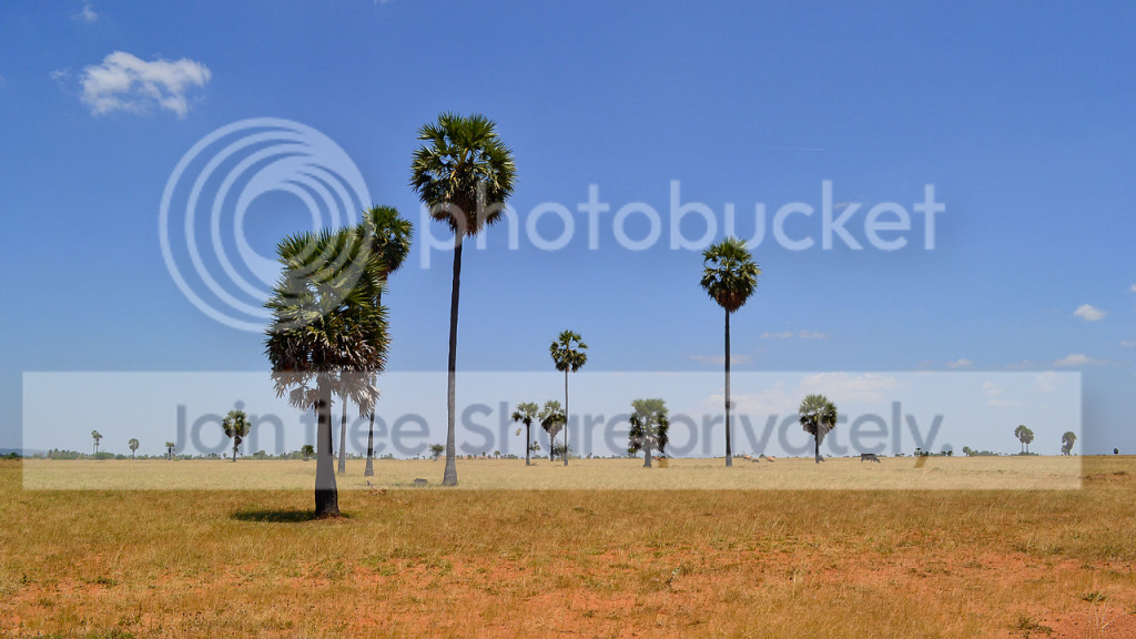 IndianLandscape2_zpsa3736acf.png