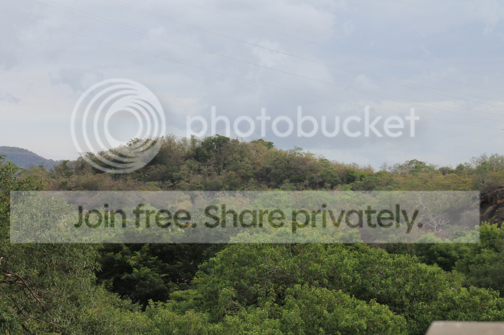 IndianLandscape3_zps14848cec.png