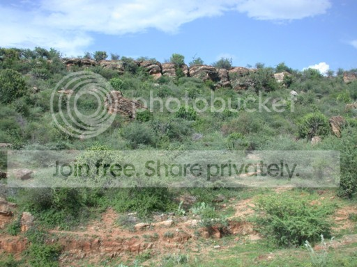 IndianLandscape_zps2793f844.png
